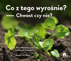 Co z tego wyrośnie? - Chwast czy nie? - Bärbel Oftring - książka