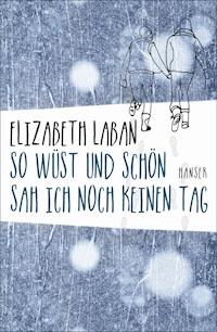 So wüst und schön sah ich noch keinen Tag - Elizabeth LaBan - ebook