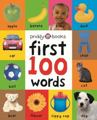 First 100 Words - Priddy  Roger - książka