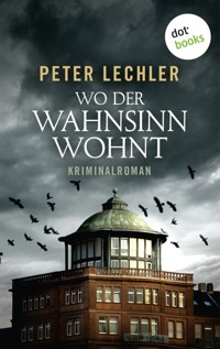 Wo der Wahnsinn wohnt - Peter Lechler - ebook
