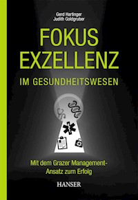 Fokus Exzellenz im Gesundheitswesen - Gerd Hartinger - ebook