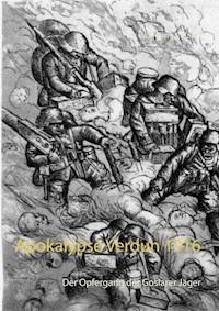 Apokalypse Verdun 1916 - Wolfgang Paland - ebook