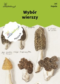 Wybór wierszy - Jaś Kapela - ebook