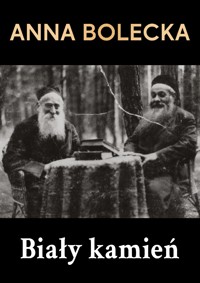 Biały kamień - Anna Bolecka - ebook + audiobook