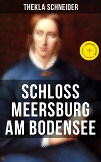 Schloss Meersburg am Bodensee - Thekla Schneider - ebook