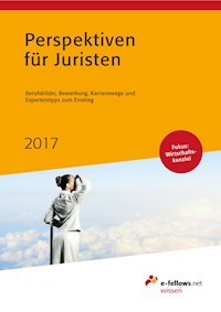 Perspektiven für Juristen 2017 -  - ebook