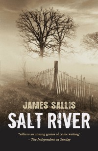 Salt River - James Sallis - ebook