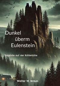 Dunkel überm Eulenstein - Walter W. Braun - ebook