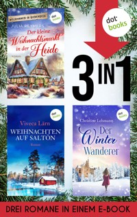 Der kleine Weihnachtsmarkt in der Heide, Weihnachten auf Saltön & Der Winterwanderer - Viveca Lärn - ebook