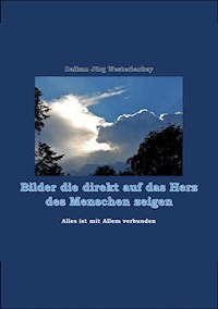 Bilder die direkt auf das Herz des Menschen zeigen - Daikan Jörg Westerbarkey - ebook