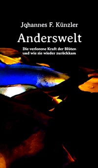 Anderswelt - Die verlorene Kraft der Blüten und wie sie wieder zurückkam - Johannes F. Künzler - ebook