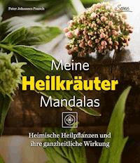 Meine Heilkräutermandalas - Johannes Pausch - ebook