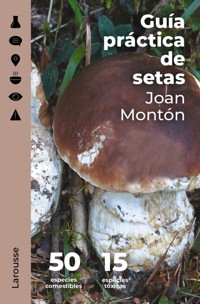 Guía práctica de setas - Joan Montón Martínez - ebook
