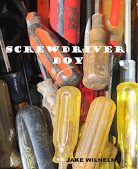 Screwdriver Boy - Jake Wilhelm - darmowy ebook
