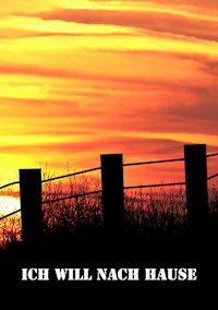 Ich will nach Hause - Christine Stutz - ebook