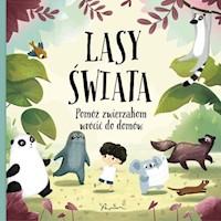 Lasy świata Pomóż zwierzakom wrócić do domów - Hanackova Pavla - książka