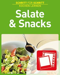 Salate & Snacks -  - ebook