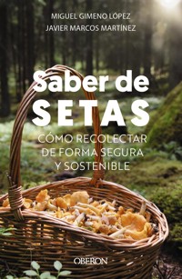 Saber de setas - Miguel Gimeno López - ebook