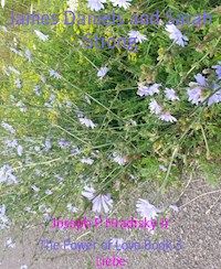 James Daniels and Sarah Strong - Joseph P Hradisky Jr - ebook