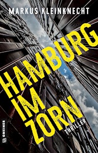 Hamburg im Zorn - Markus Kleinknecht - ebook