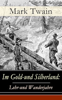 Im Gold-und Silberland: Lehr-und Wanderjahre - Mark Twain - ebook