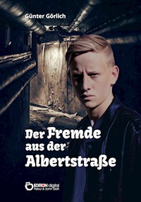 Der Fremde aus der Albertstraße - Günter Görlich - ebook