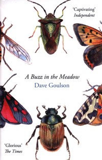 A Buzz in the Meadow - Dave Goulson - książka