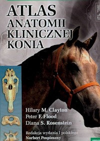 Atlas anatomii klinicznej konia -  - książka