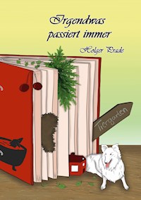 Irgendwas passiert immer - Holger Prade - ebook