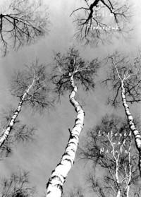 Listopad nad Narwią - Julia Fiedorczuk - ebook