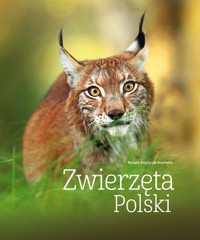 Zwierzęta Polski - Renata Kosińska - książka