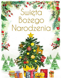 Święta Bożego Narodzenia - Paszkiewicz Anna - książka