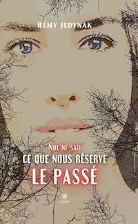 Nul ne sait ce que nous réserve le passé - Rémy Jedynak - ebook