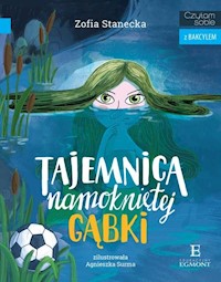 Czytam sobie z Bakcylem Tajemnica namokniętej gąbki - Zofia Stanecka - książka