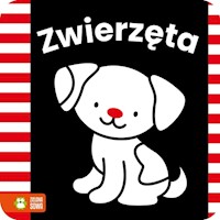 Książki kontrastowe Zwierzęta -  - książka
