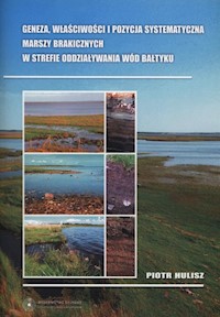 Geneza, właściwości i pozycja systematyczna marszy brakicznych w strefie oddziaływań wód Bałtyku - Hulisz Piotr - książka