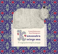 Kamasutra Kociego Snu - Wechterowicz Przemek, Walentynowicz Kasia - książka