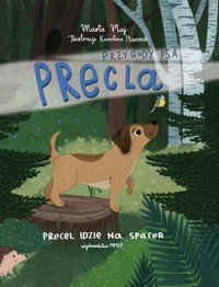 Przygody psa Precla. Precel idzie na spacer - Marta Maj - audiobook