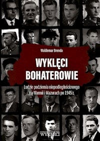 Wyklęci bohaterowie - Brenda Waldemar - książka