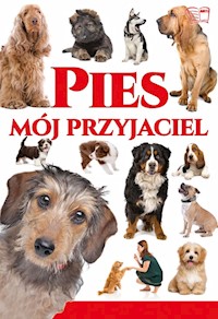 Pies mój przyjaciel - Werner Joanna - książka