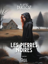 Les pierres noires - Albert Ducloz - ebook