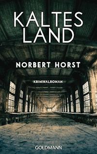 Kaltes Land - Norbert Horst - ebook
