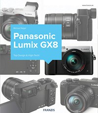 Kamerabuch Panasonic Lumix GX8 - Michael Nagel - ebook