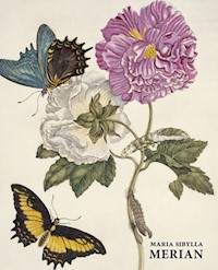 Maria Sibylla Merian - Kiecol Daniel - książka