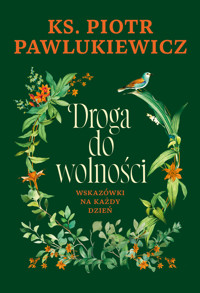 Droga do wolności. Wskazówki na każdy dzień - Piotr Pawlukiewicz - ebook + audiobook + książka