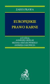 Europejskie prawo karne - - książka