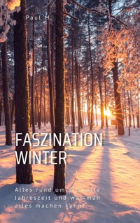 Faszination Winter - Paul M. - ebook