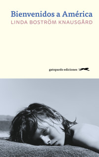 Bienvenidos a América - Linda Boström Knausgård - ebook