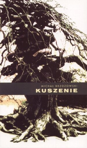 Kuszenie - michal brzozowski - książka