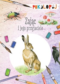 Zając i jego przyjaciele. Pokoloruj - Katarzyna Kopiec-Sekieta - książka